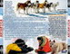 ANTARTICA PRISONNIERS DU FROID